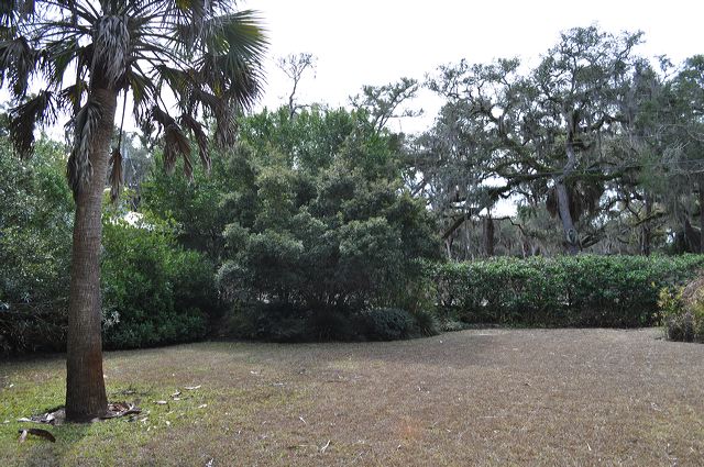 dsc_0618.jpg