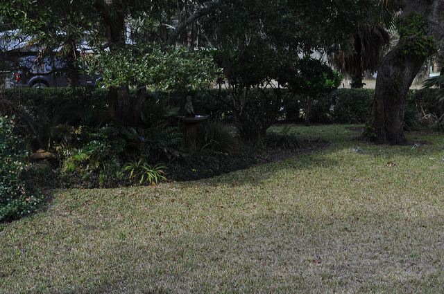 dsc_0622.jpg
