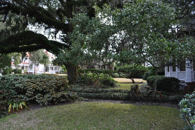 dsc_0626.jpg