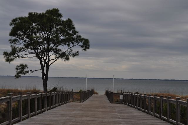 dsc_0703.jpg