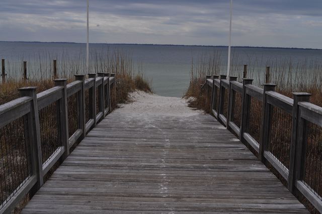 dsc_0706.jpg