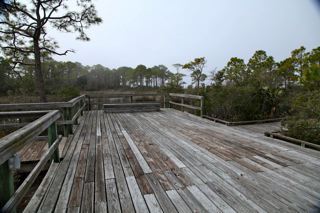 img_1160.jpg
