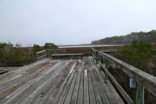 img_1161.jpg