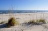 nov_2011_023