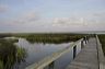 apalach-res