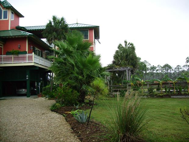 imgp0678.jpg