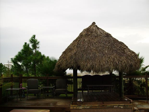 imgp0698.jpg