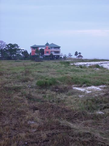imgp0707.jpg
