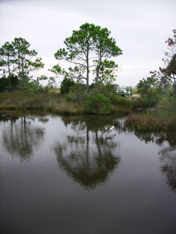 imgp0713.jpg
