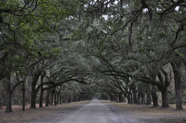 dsc_0205.jpg