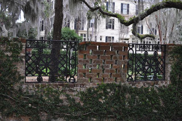dsc_0244.jpg