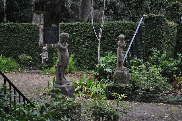 dsc_0246.jpg
