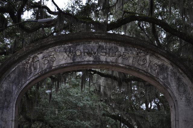 dsc_0257.jpg