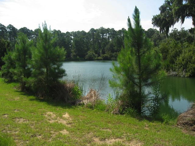 img_6863.jpg