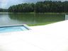 fp_lakedye_0008