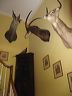 red_bluff_0016