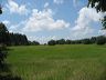 red_bluff_0033