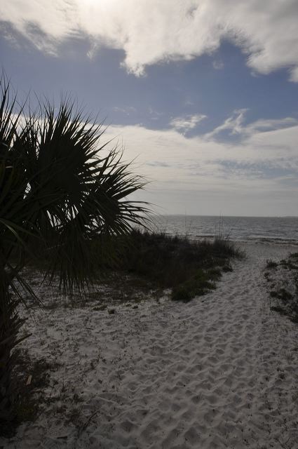 dsc_0288.jpg