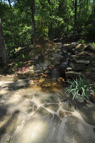 dsc_0134.jpg