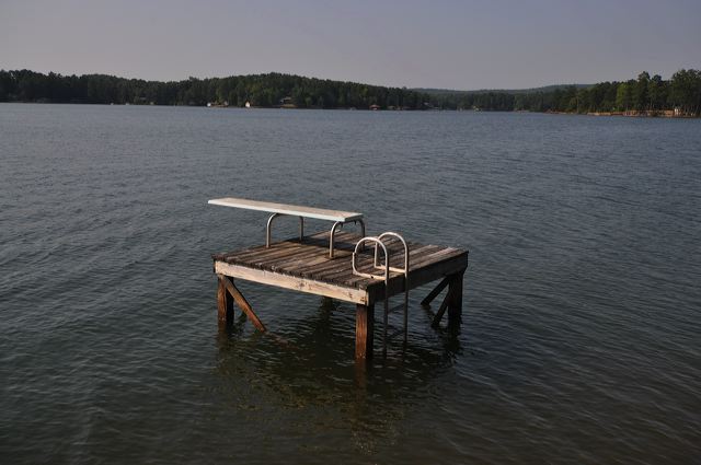 dsc_0317.jpg
