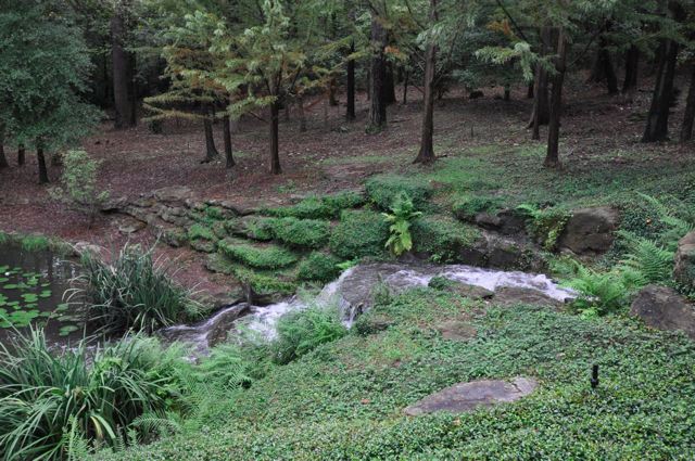 col_1210_-_25.jpg