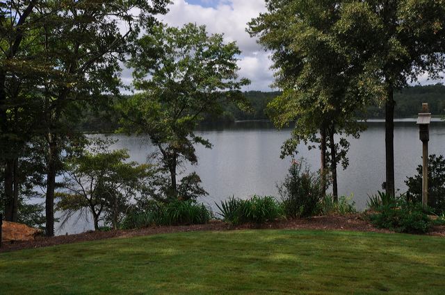 dsc_0100.jpg