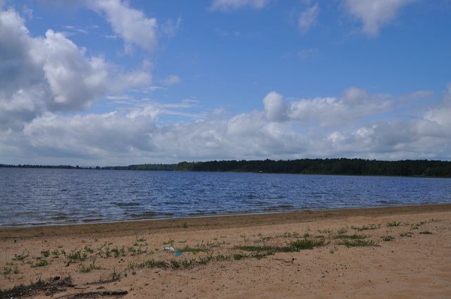 dsc_0185.jpg