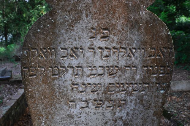 dsc_0286.jpg
