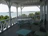 savannah_part_2_618
