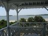 savannah_part_2_619