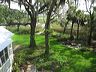dawson_0021