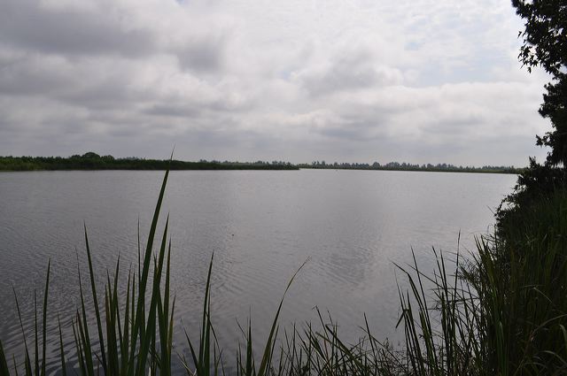 293.jpg