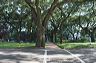 scad_design_0036