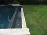 savannah_part_2_291