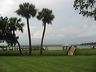savannah_part_2_292