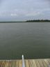savannah_part_2_294