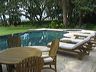savannah_part_2_299