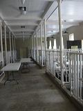 img_0095