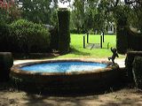 img_0098