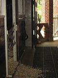 img_0104