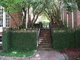 img_0116