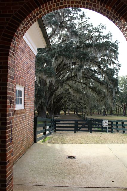 7516767856_img_1977.jpg