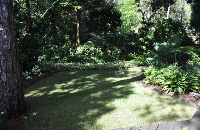 central_florida_442.jpg
