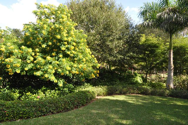 050_central_florida_099.jpg