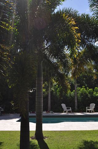 050_central_florida_108.jpg