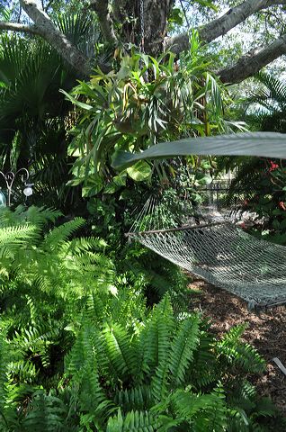 050_central_florida_111.jpg