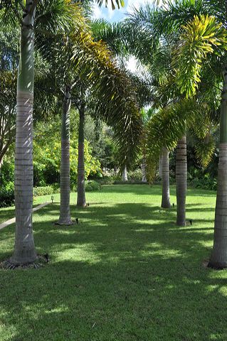 050_central_florida_113.jpg