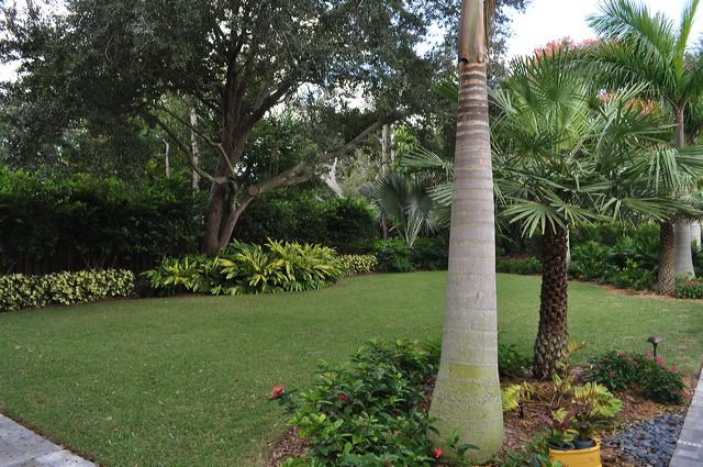 050_central_florida_118.jpg