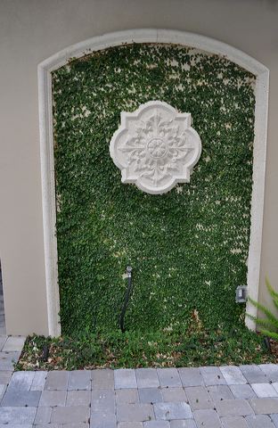 050_central_florida_119.jpg