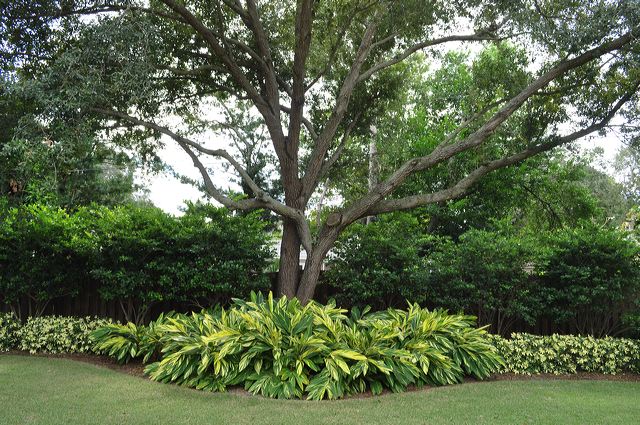 050_central_florida_130.jpg